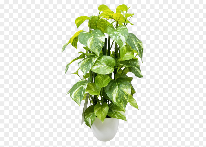 Plant Devil's Ivy Houseplant Flowerpot Artificial Flower PNG