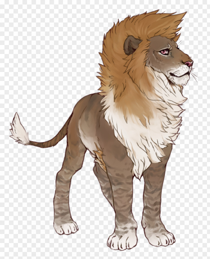 Roar Lion Cat Mammal Carnivora Animal PNG