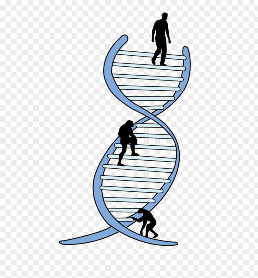 Science Genetics La Ingenieria Genetica Genetic Engineering Biology PNG