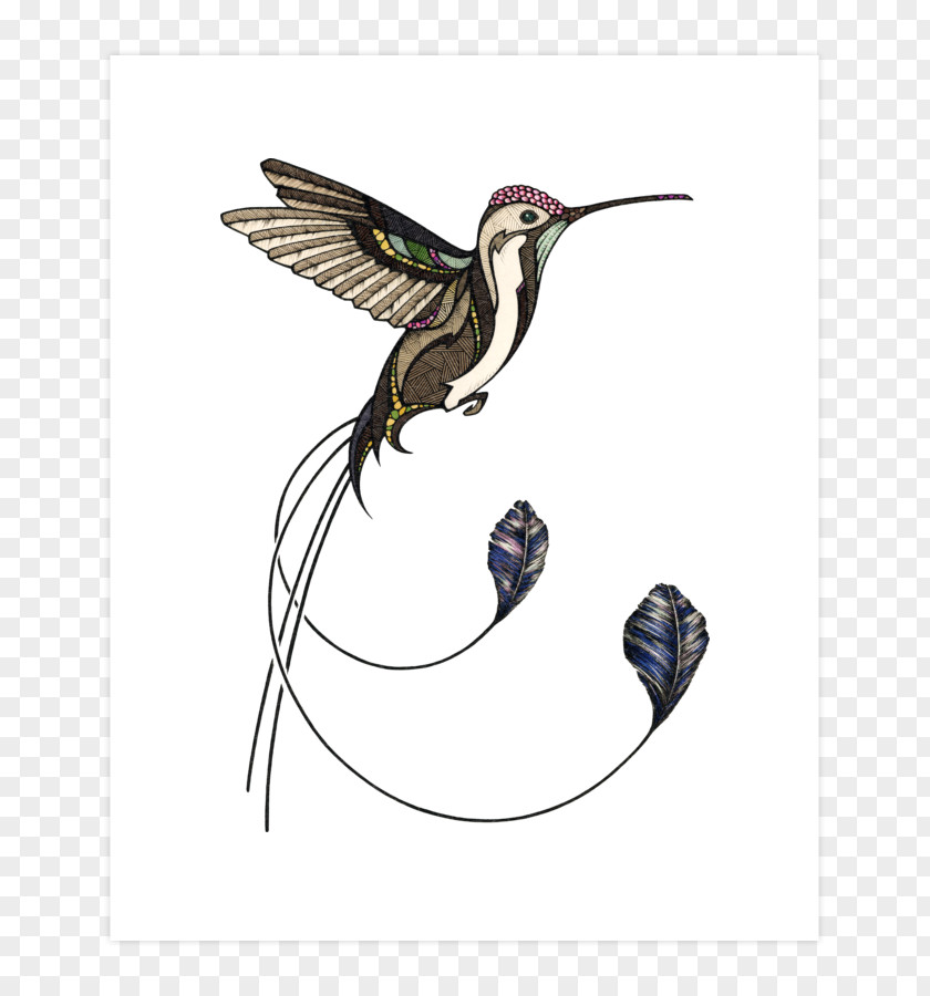 T-shirt Hummingbird Drawing PNG