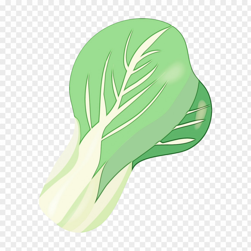 Arum Family Feather Green Grass Background PNG