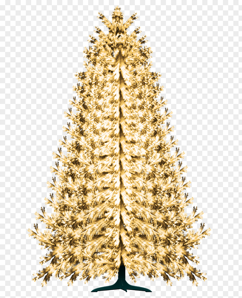 Christmas Tree Spruce Ornament Fir PNG