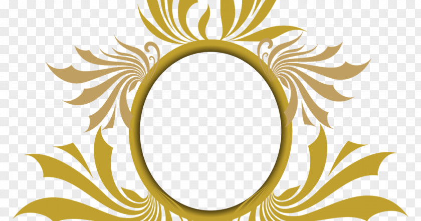 Circulo Disk Picture Frames PNG