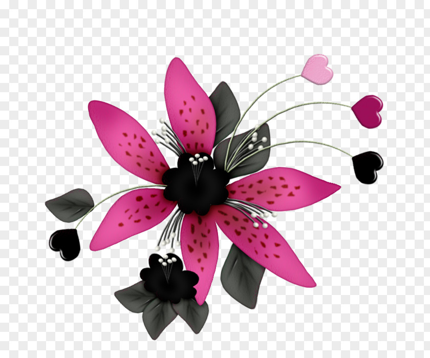 Flower Floral Design Clip Art Traditional Stencil Designs PNG