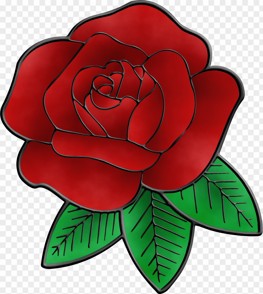 Hybrid Tea Rose Garden Roses PNG