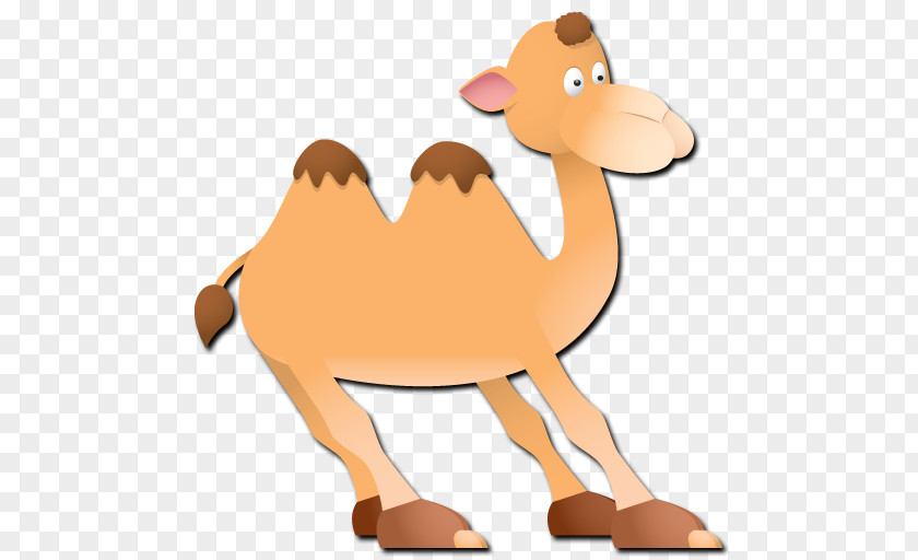 Material Bactrian Camel Dromedary Clip Art Llama PNG