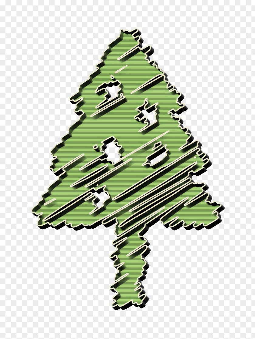 Pine Family Fir Christmas Icon Decoration Holiday PNG