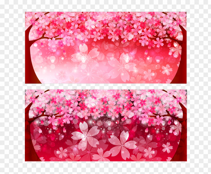 Pink Cherry Background Vector Material Blossom Petal PNG