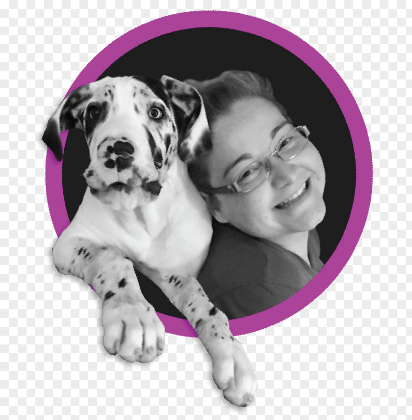 Puppy Great Dane Maddie Poppe Dalmatian Dog Breed PNG