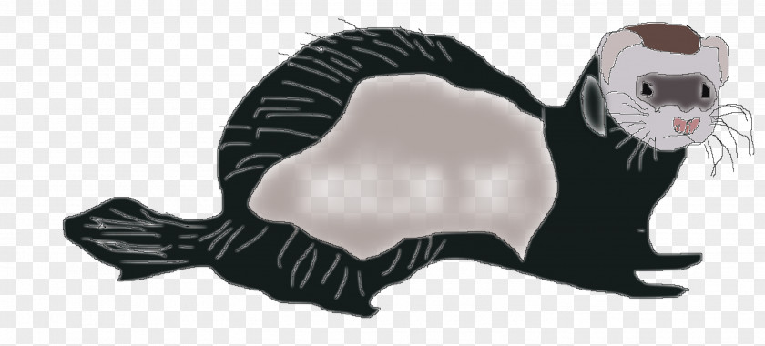 Cat Whiskers Ferret Animal PNG