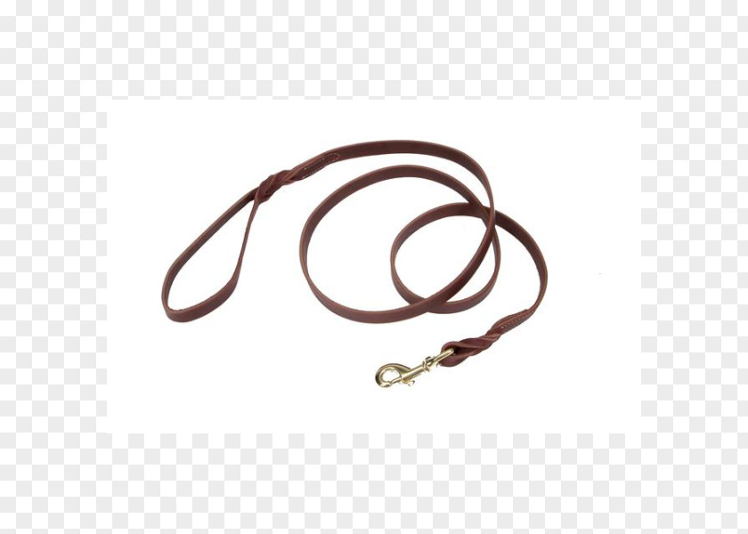 Dog Leash Ren's Pets Depot RC Pet Products Limited Hardware Random Number Generator PNG