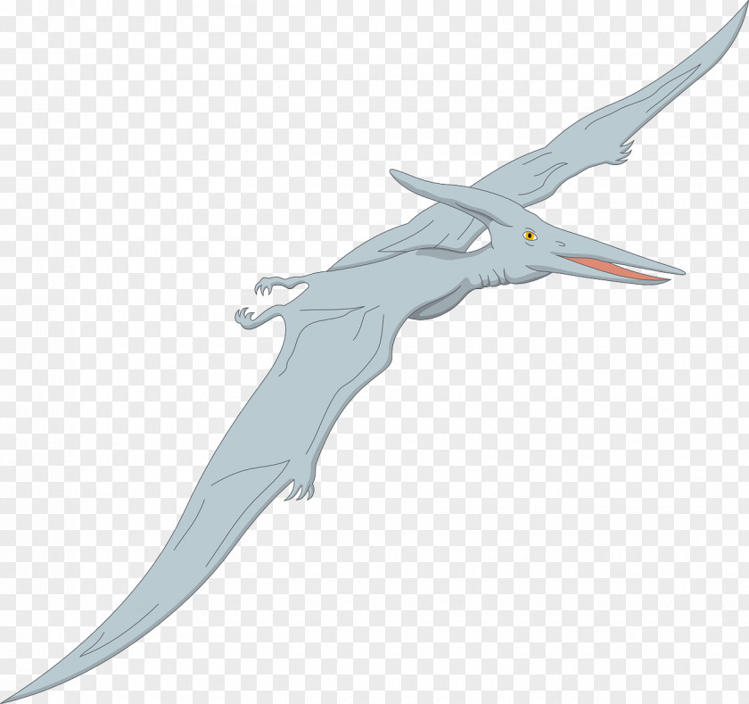 Flying Pterosaur Pterodactyls Pteranodon Quetzalcoatlus Nyctosaurus Dimorphodon PNG