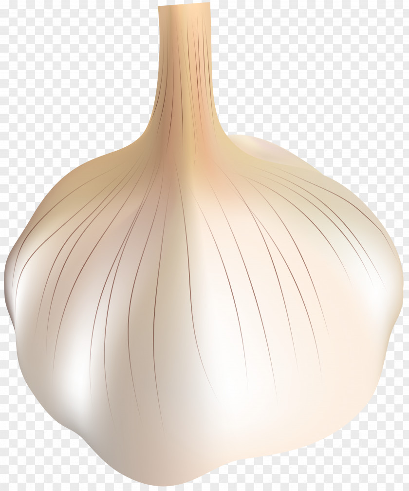 Garlic Transparent Clip Art PNG