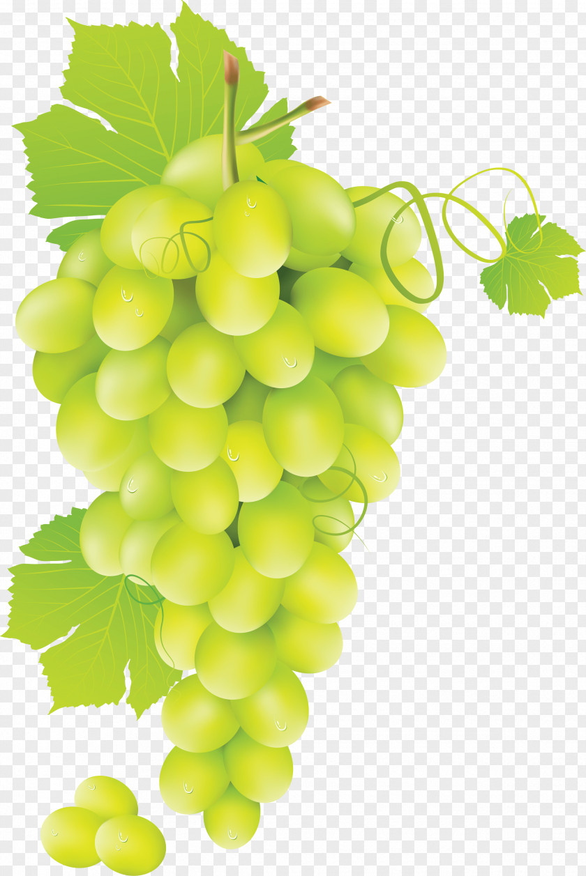 Green Grape Image Common Vine Juice Clip Art PNG