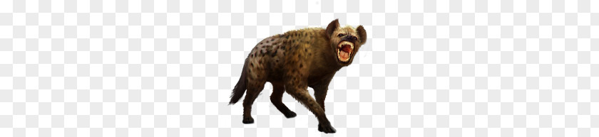 Hyena PNG clipart PNG