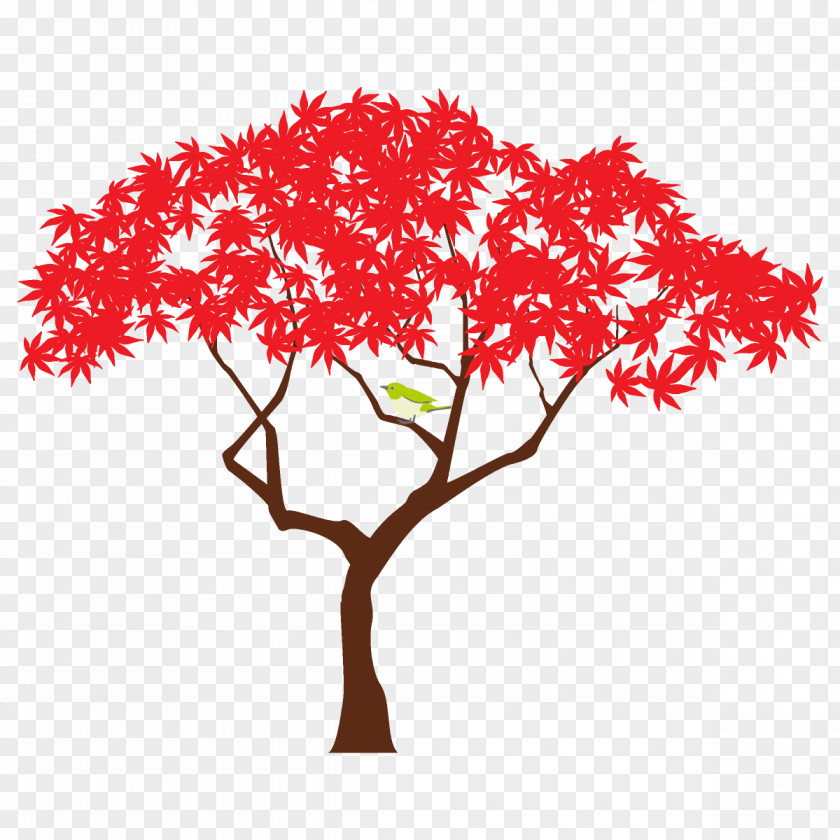 Maple Cut Flowers Autumn Tree PNG