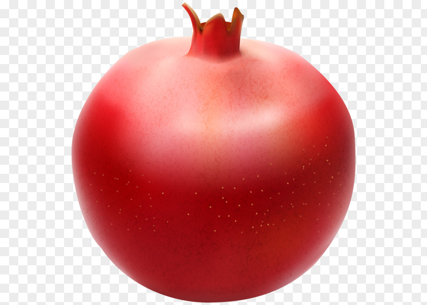Pomegranate Fruit Clip Art PNG
