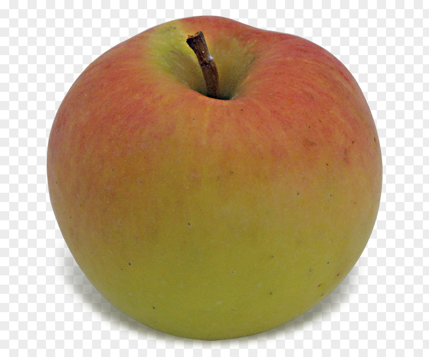 Apple Granny Smith McIntosh Laboratory Idared PNG