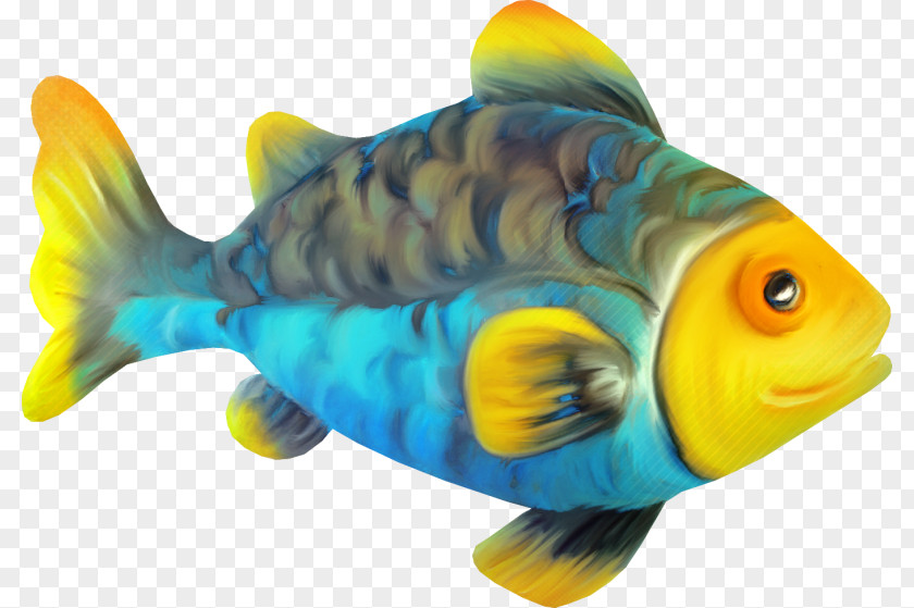 Fish Bony Fishes Goldfish Clip Art Image PNG