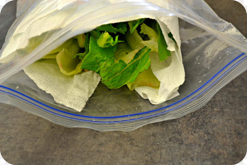 Lettuce Wrap Leaf Vegetable Romaine PNG