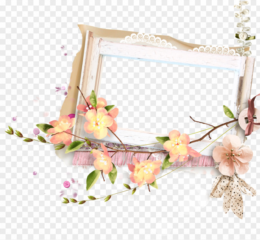 Osiele Picture Frames Floral Design Clip Art PNG