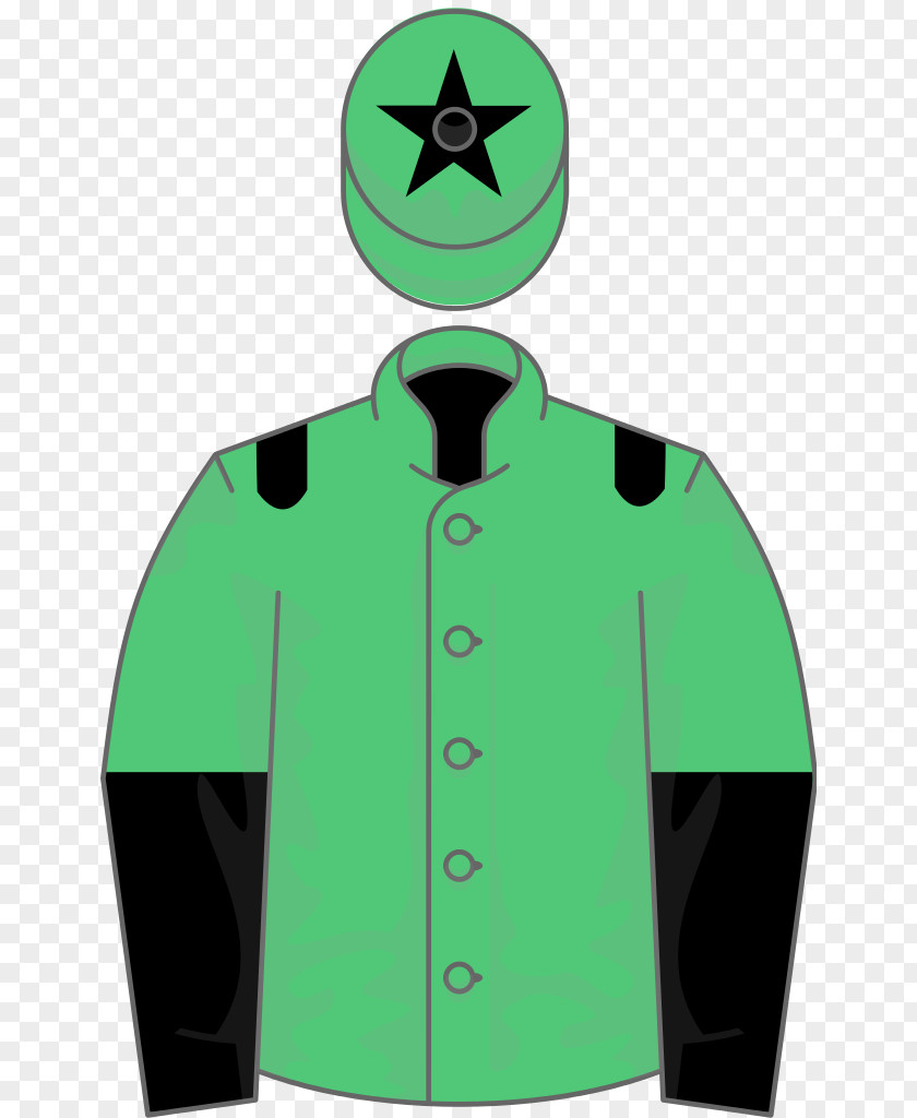 Ownership Thoroughbred Horse Trainer Racing Blue Wind Wikipedia PNG