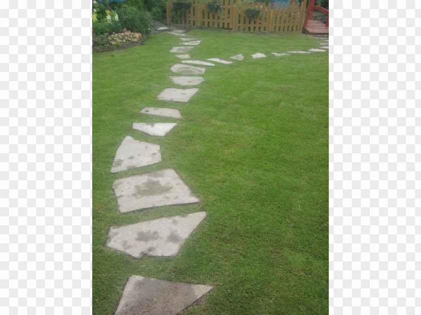 Road Property Walkway Artificial Turf Land Lot Surface PNG