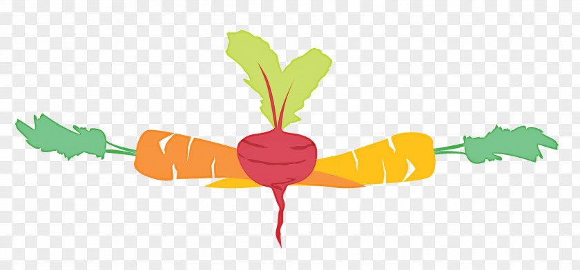Vegetarian Food Plant Carrot Leaf Clip Art Stem Vegetable PNG