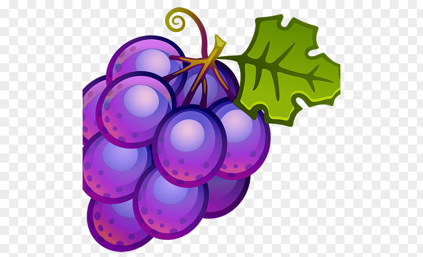 Wine Common Grape Vine Fruit Clip Art PNG