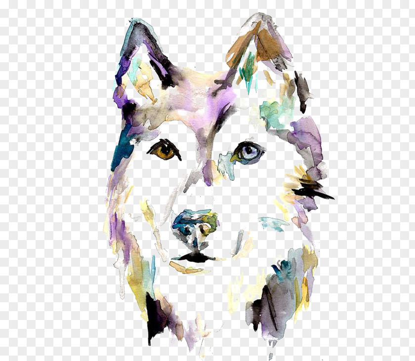 Wolf Siberian Husky Watercolor Painting PNG