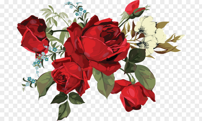 Flower Garden Roses Drawing Clip Art PNG