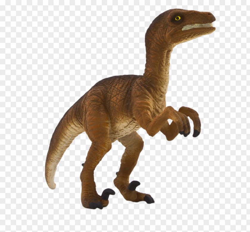 Horse Velociraptor Tyrannosaurus Dinosaur Allosaurus PNG
