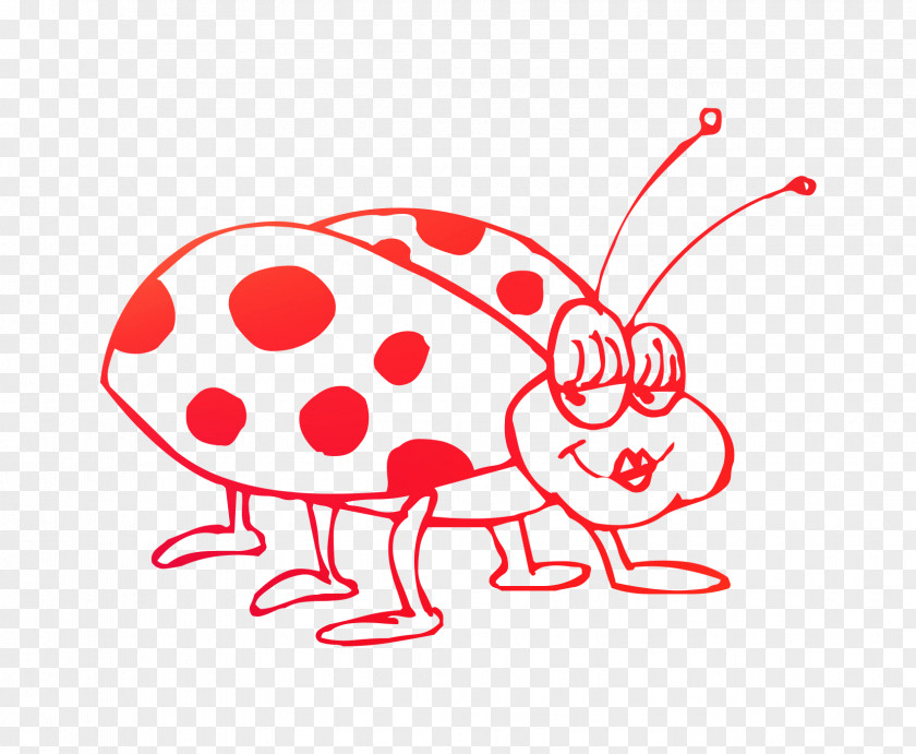 Life Cycle Of A Ladybug Ladybird Beetle Coloring Book Drawing PNG