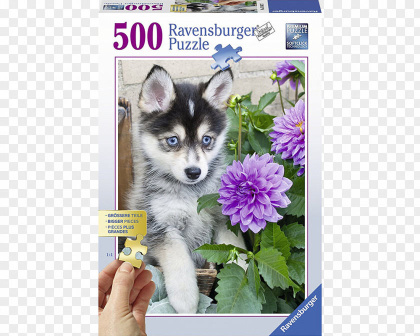 Puppy Siberian Husky Jigsaw Puzzles Pomeranian Ravensburger PNG