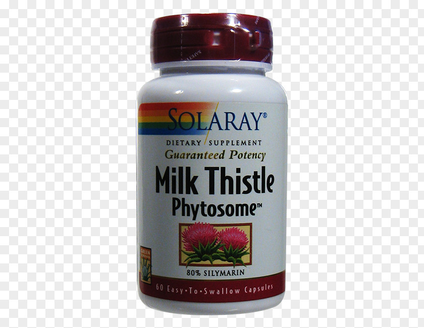 Seasonal Solar Terms Dietary Supplement Milk Thistle Phytosome Capsule Vegetarian Cuisine PNG