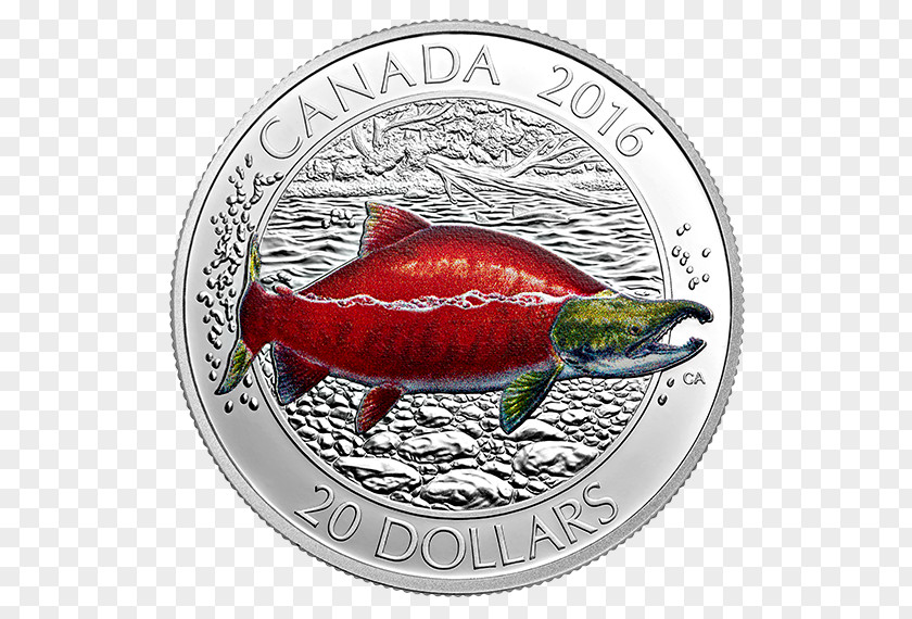 Sockeye Salmon Coin Canada Fish Silver PNG