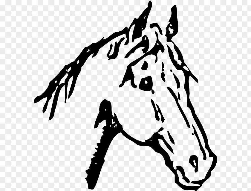 Tribal Horse Belgian American Quarter White Drawing Clip Art PNG