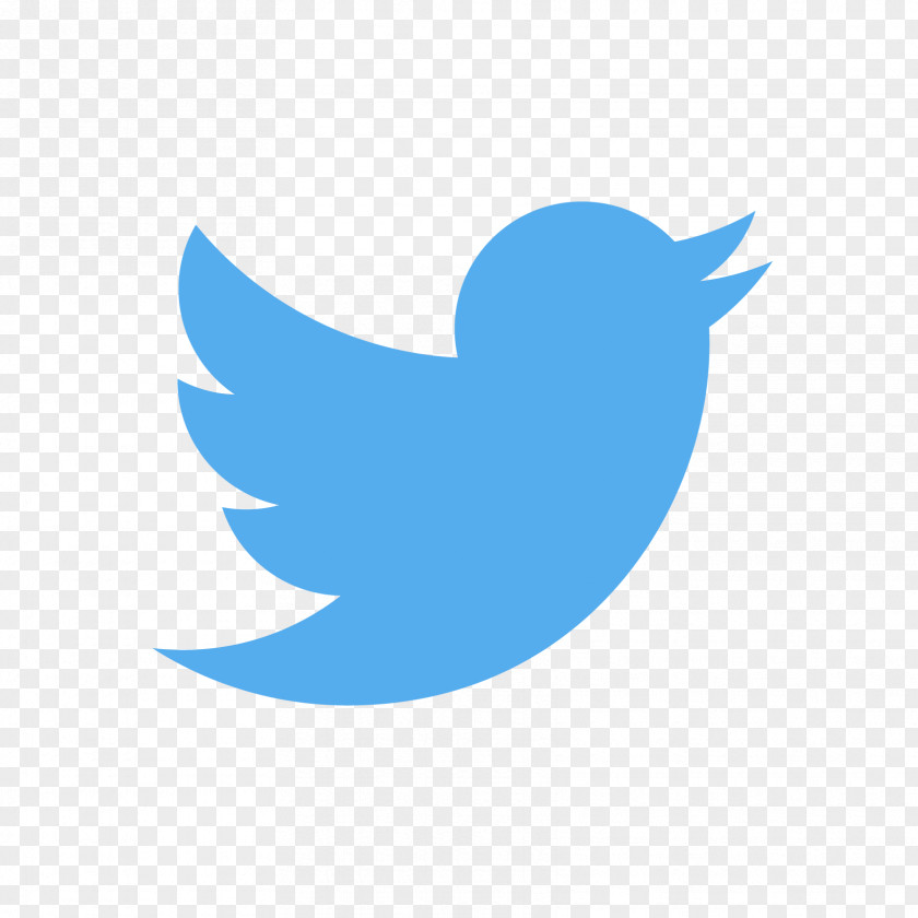 Twitter PNG clipart PNG