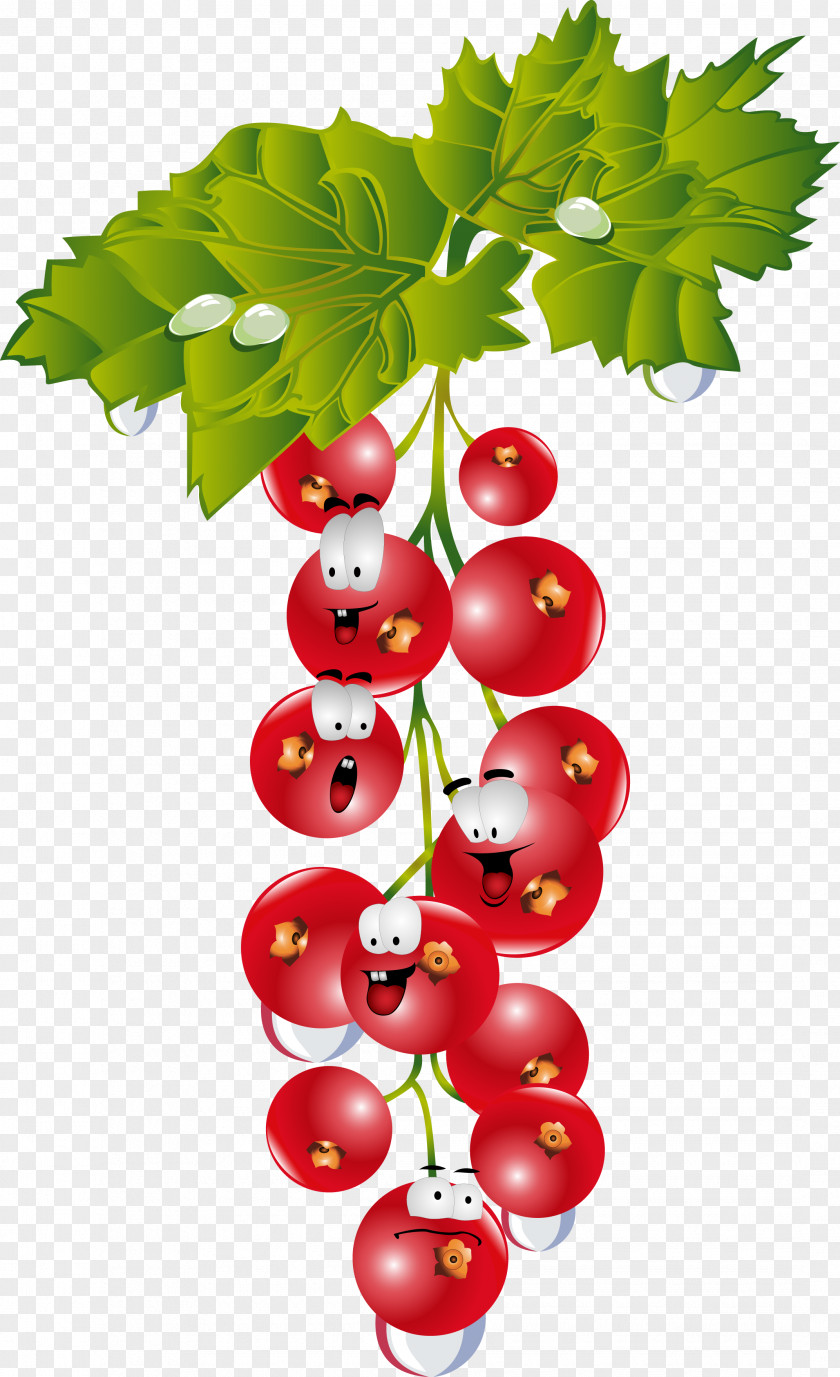 Grape Gooseberry Cranberry Drawing PNG