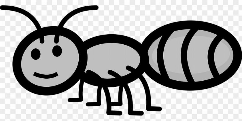 Insect Ant Clip Art Openclipart Download Drawing PNG