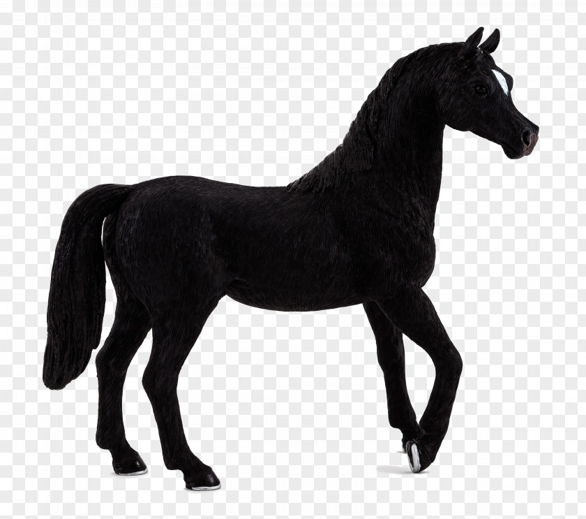 Toy Arabian Horse Stallion Andalusian Black Thoroughbred PNG