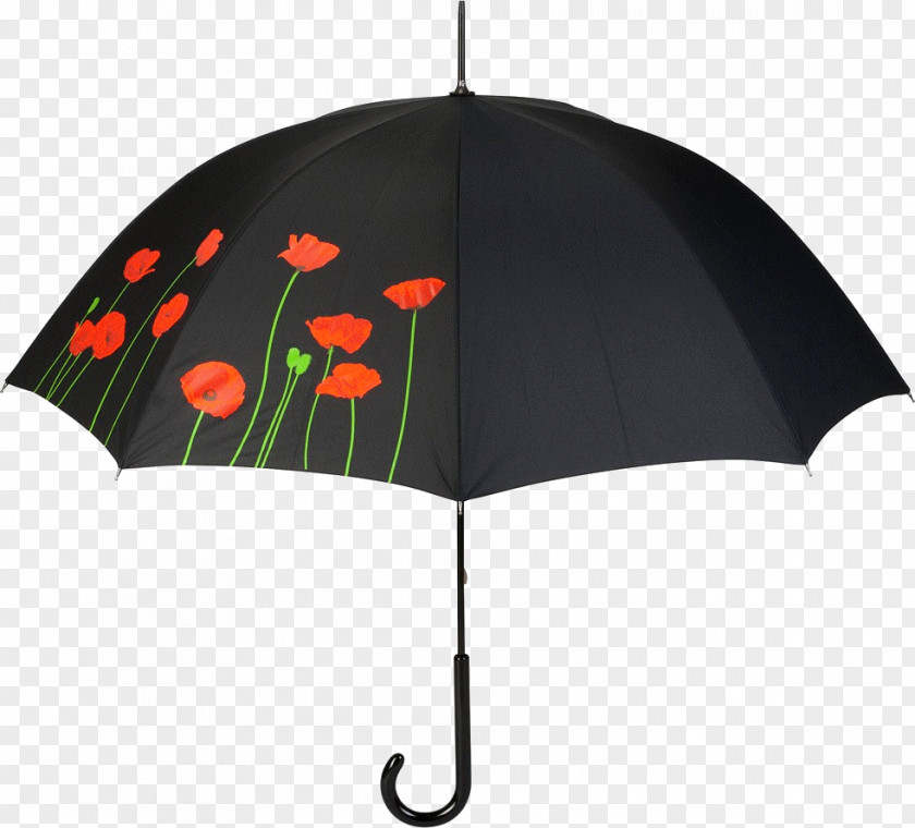 Umbrella PNG