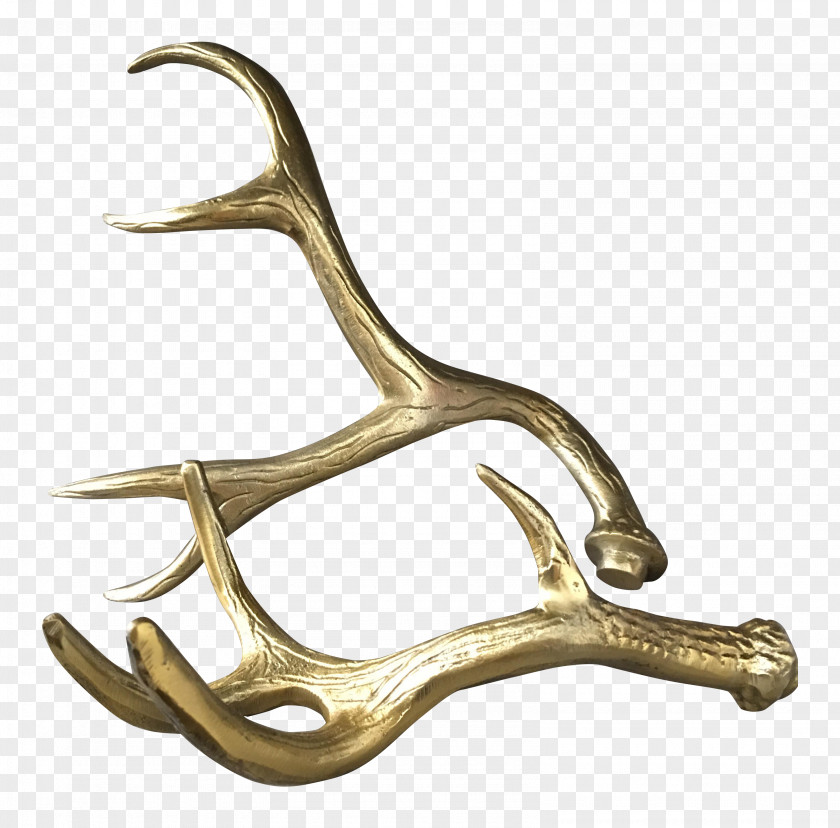 Hand Painted Antlers 01504 Material PNG
