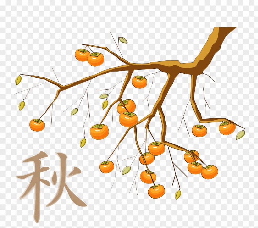 Vector Persimmon Tree Material Japanese Food Clip Art PNG