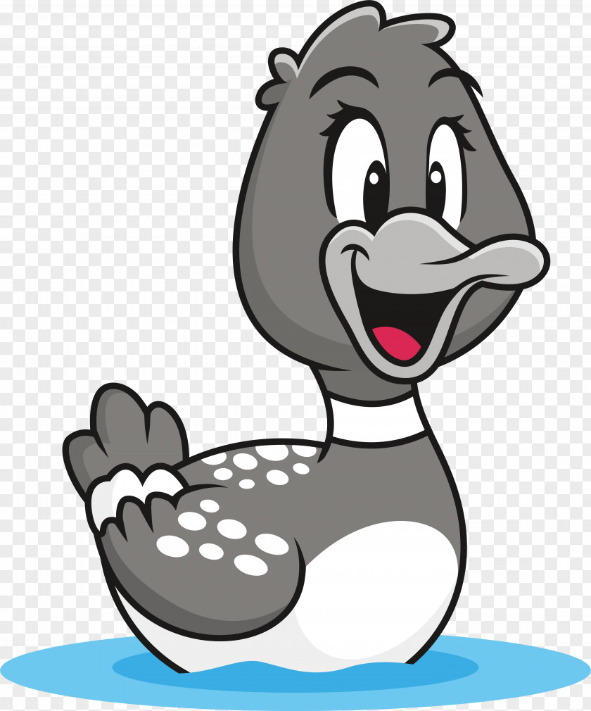 A Swimming Duck Bird Drawing PNG