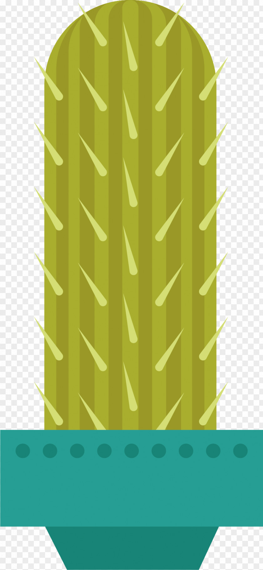 Cactus Vector Cactaceae Euclidean PNG