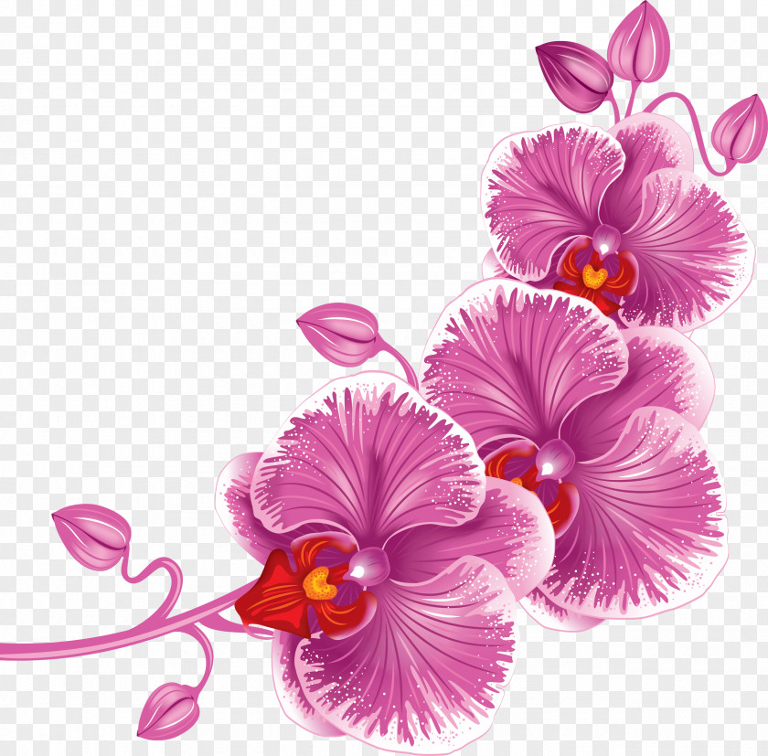 Mary Clip Art PNG