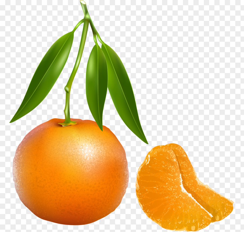 Orange Tangerine Mandarin Clip Art PNG