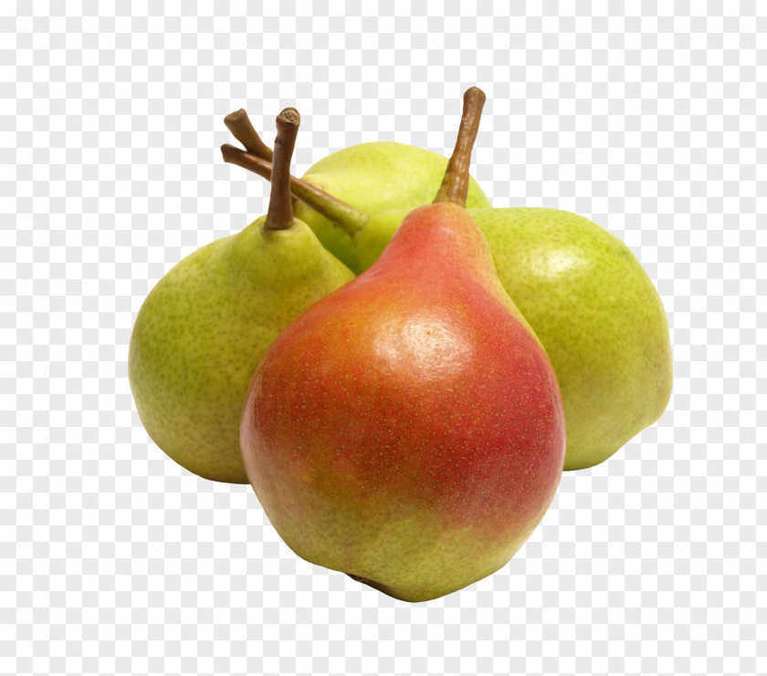 Pear Fruit Tree Orange Apple PNG