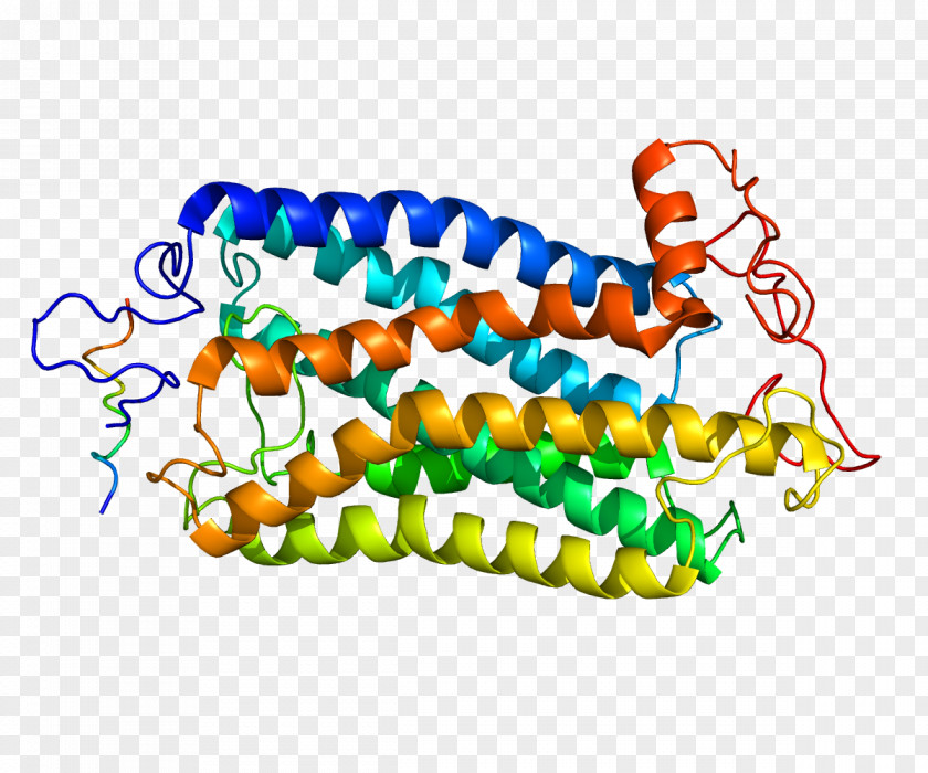 Tachykinin Receptor 1 Peptides NK1 Antagonist PNG